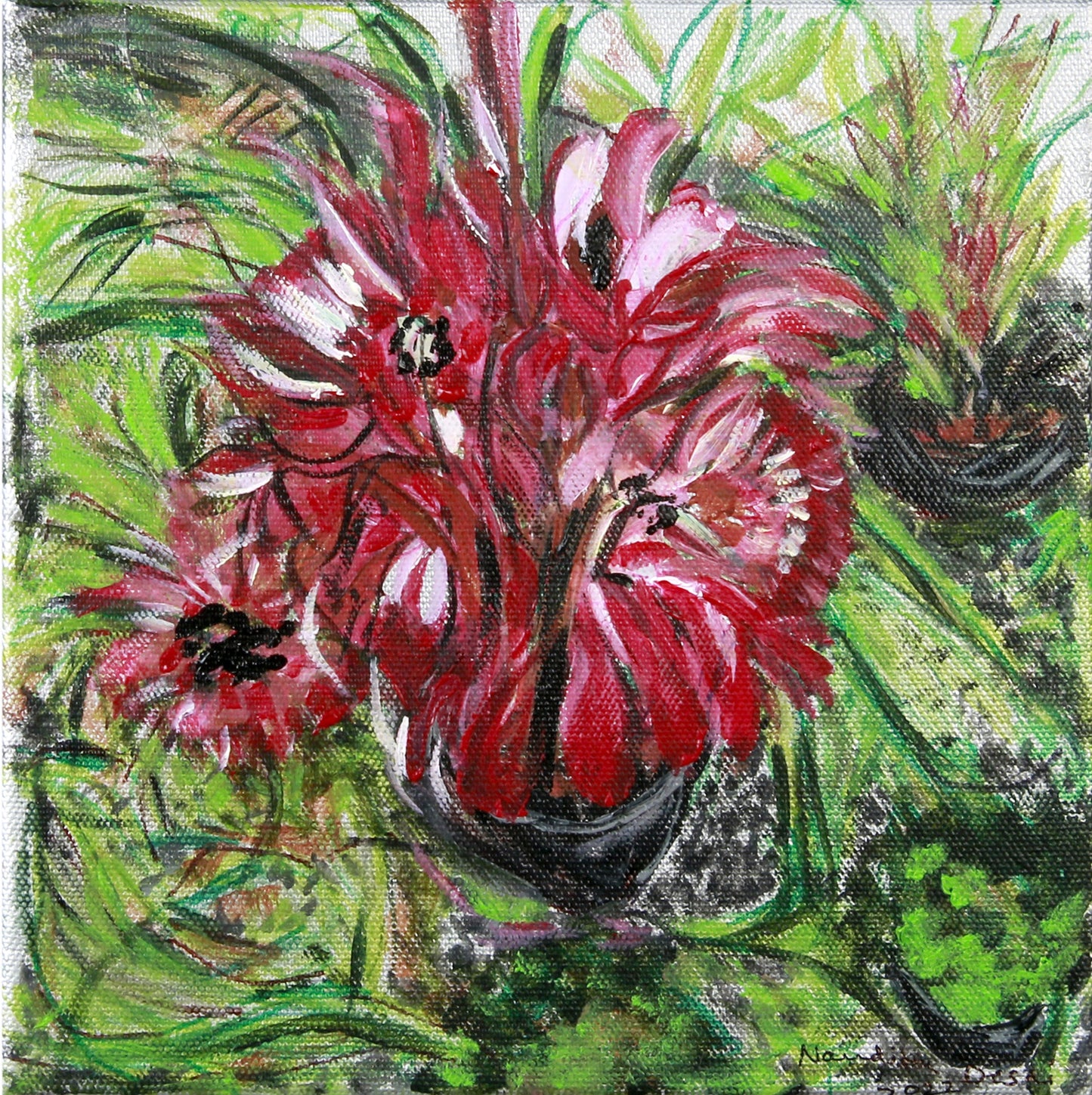 FOR THE LOVE OF PINK