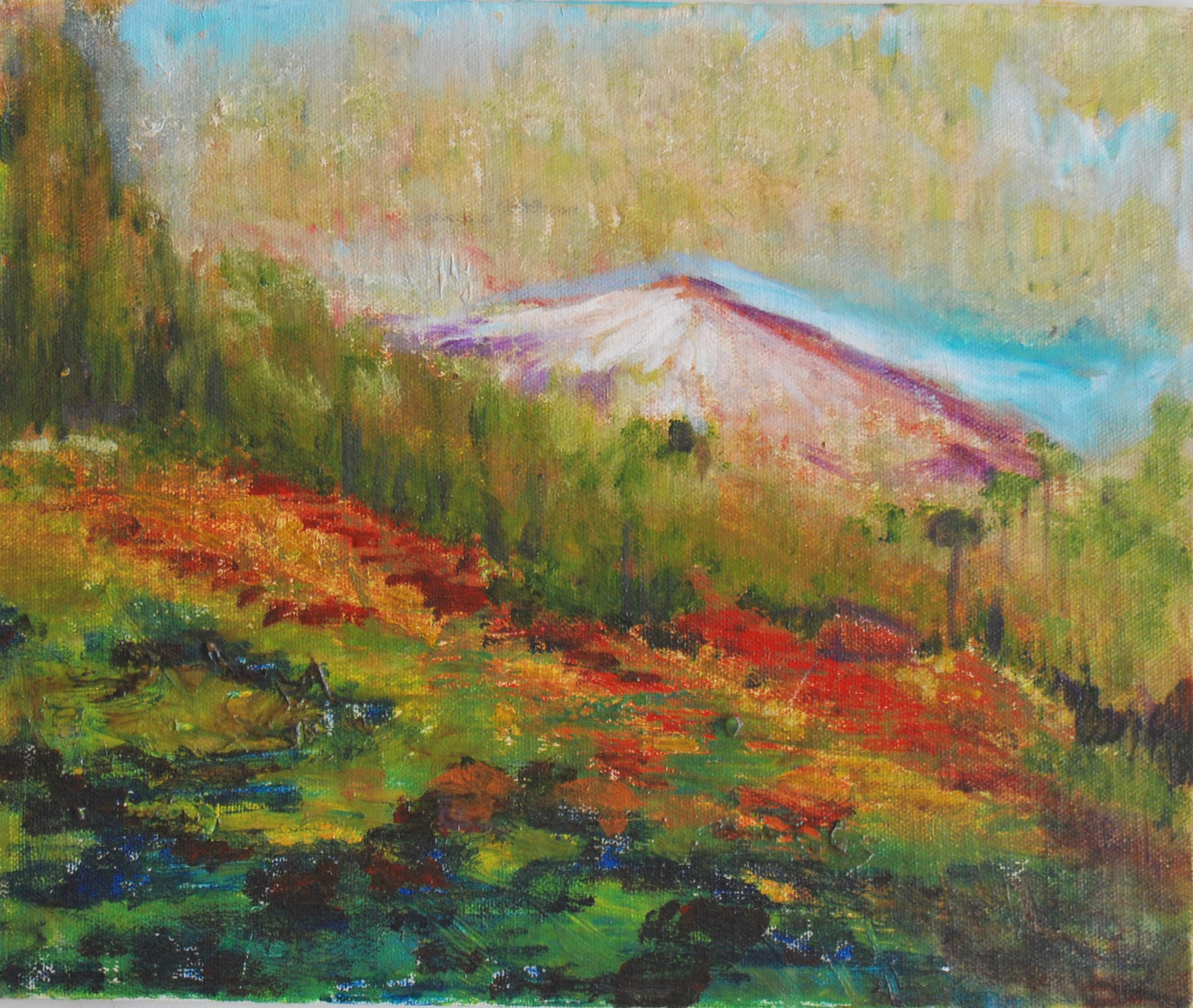 White Mountain
