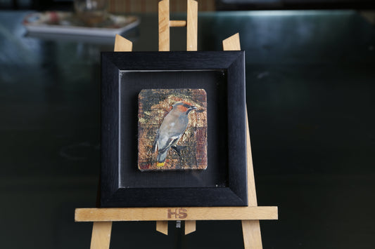 Rust‑Winged Songbird