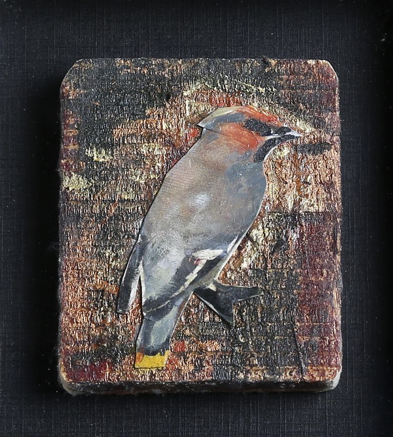 Songbird Tile