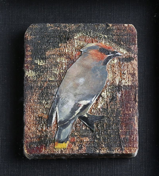 Songbird Tile
